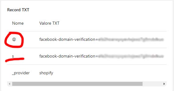 Shopify – Quando La Verifica Del Dominio Su Facebook Non Vuole Funzionare